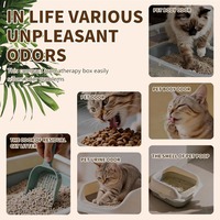 Eliminatore di Odori per Lettiere per Gatti, Deodorante per Animali Domestici, Rimuovi Odori di Urina, Controlla gli Odori per Gatti da Interno - Ingrosso