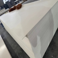 Panneau de support MGO, MgSO4 pur, sans chlorure, non inflammable, sans amiante, imperméable, ignifuge A1, substrat pour carrelage, CE Intertek