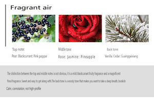 Parfum de Luxe OEM/ODM Passione, Vaporisateur de Parfum pour Femmes, Si Parfum Importé Original, Extrait de Parfum Original pour Femmes - Product Image 4