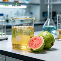 Bulk Guavapoeder Fabriek Leverancier Gedroogd Roze Guavapoeder OEM ODM voor Drankjes, Bakkerijen en Voedingsmiddelenindustrie
