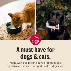 Supplément pour chien en poudre <span class=keywords><strong>de</strong></span> <span class=keywords><strong>lait</strong></span> <span class=keywords><strong>de</strong></span> chèvre entièrement naturel <span class=keywords><strong>de</strong></span> qualité supérieure Formule <span class=keywords><strong>de</strong></span> santé canine pour suppléments <span class=keywords><strong>de</strong></span> soins <span class=keywords><strong>de</strong></span> santé immunitaires pour animaux <span class=keywords><strong>de</strong></span> compagnie - Product Image 6