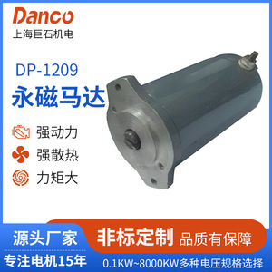 มอเตอร์ดีซีแบบมีแปรงถ่าน Megalith DP-1209 12V 5700 รอบต่อนาที สำหรับอุปกรณ์เครื่องกลไกแบบวินซ์ - Product Image 4