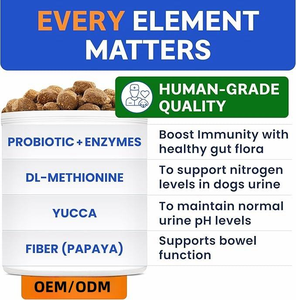 Compléments alimentaires pour chiens OEM Gut Health Probiotics, enzymes digestives, multivitamines, friandises molles, vert herbe, économiseur de taches d'urine, sûr et rapide - Product Image 4