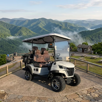 La meilleure voiturette de golf électrique 4 places avec volant en fibre de carbone, batterie au lithium certifiée CE pour enfants et adultes