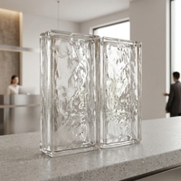 Brique de verre transparente Ice Shadow, bloc creux pour la maison, le bureau, la salle de bain