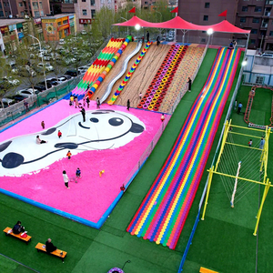 耐用主题公园刺激户外游戏PE材料彩虹滑梯出售 - Product Image 1