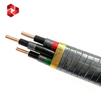 Cable ESP para Bomba Sumergible de Aceite, con Aislamiento de Poliimida-EPDM/plomo, Armadura de Tira de Acero MONEL, Cable Plano con Alambre de Plomo