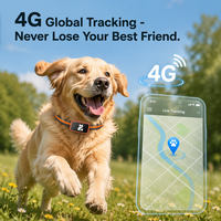 Pelacak Hewan Peliharaan GPS 4G G68P Laris Manis, Tahan Air IP67, Dapat Diisi Ulang 850mAh, Lokasi Real Time untuk Anjing Kucing di Luar Ruangan