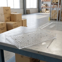 Semoir manuel compact à pousser avec bac en acrylique pour graines de légumes – Prix usine