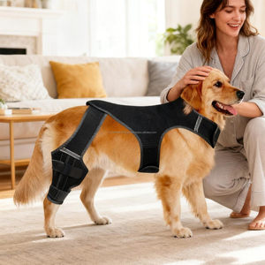 Attelle de genou réglable pour chien, pour déchirure de la ligament croisé antérieur, protection des pattes arrière, soutien des pattes arrière avec 4 stabilisateurs métalliques, attelle de genou pour chien - Product Image 2