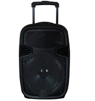Système de sonorisation DJ 12 pouces pour fête, système de sonorisation en tour, système de cinéma maison, lecteur audio portable sans fil DJ