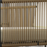 AJUNION Ensemble de meubles de patio au design moderne Mobilier de loisirs en métal Ensemble de mobilier d'extérieur tissé en rotin avec table basse