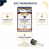 Poudre Énergisante pour Pigeons de Course 50g – Soutien le Jour de la Course et la Récupération Après Longues Voies – Fournisseur ODM