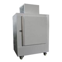 Congélateur vertical compact personnalisable pour blocs de glace, à refroidissement direct par mur froid, pour stockage extérieur