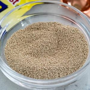 <span class=keywords><strong>Polvo</strong></span> <span class=keywords><strong>de</strong></span> <span class=keywords><strong>levadura</strong></span> instantánea seca activa <span class=keywords><strong>de</strong></span> fermentación rápida <span class=keywords><strong>de</strong></span> alta tolerancia 500g 450g 5kg 10kg 25kg Fabricante para hornear <span class=keywords><strong>pan</strong></span> - Product Image 5