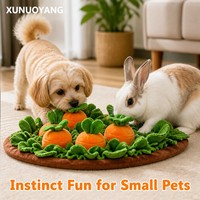 Jouet Moderne en Peluche Carotte Couineuse pour Chiens, Chats, Lapins - Jouet d'Enrichissement pour Cacher les Friandises, Logo Personnalisé, Vente en Gros XUNUOYANG