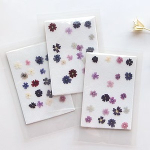 <span class=keywords><strong>Fleur</strong></span> de <span class=keywords><strong>verveine</strong></span> séchée MNR1992 pour la fabrication de bijoux en résine époxy, les créations artisanales pour enfants, les signets, les spécimens végétaux - Product Image 1
