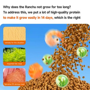 Yee 1.5Mm 3Mm Cá <span class=keywords><strong>Koi</strong></span> Thực Phẩm Hikari Ranchu Trang Trí Cá Vàng Chìm Nổi Pellet Ao Cá Thức Ăn - Product Image 3