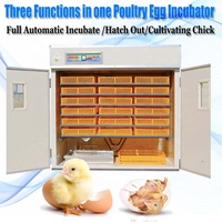 Incubateur automatique pour œufs 352, équipement pour élevage de volaille, couveuse d'œufs, tunique de poulet, 360 pièces, expédié des états-unis