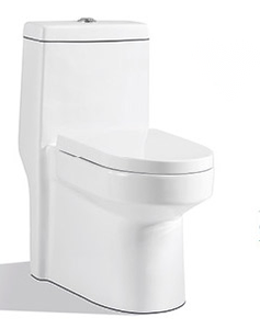 Gabinetti personalizzati Water Closet in ceramica commode compatte one pezzo unico lavabo wc combo - Product Image 5