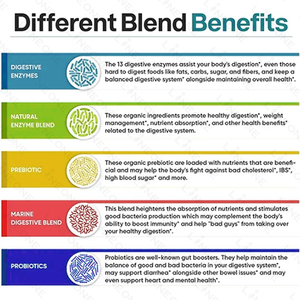 Suplemen Kapsul Enzim Pencernaan Alami dengan Kandungan Prebiotik dan Probiotik  Tablet Kapsul - Product Image 4