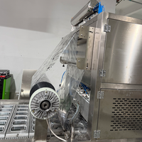 Fabricant de machines d'emballage sous vide pour salades pré-faites, sauces végétales et barquettes alimentaires en Chine