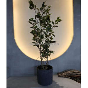 Vente en gros Offre Spéciale arbre de <span class=keywords><strong>Ficus</strong></span> artificiel bonsaï vert <span class=keywords><strong>Ficus</strong></span> arbre d'intérieur plantes artificielles <span class=keywords><strong>Ficus</strong></span> Banyan arbre artificiel à vendre - Product Image 1