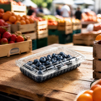 Contenant à clapet transparent en PET recyclable pour myrtilles 125g/175g/250g, avec couvercle articulé, qualité alimentaire, boîte d'emballage jetable pour fruits, à nervures
