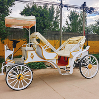 Voiture de tourisme électrique type Victoria à prix d'usine, transport spécial, carrosses de mariage et de tourisme à vendre