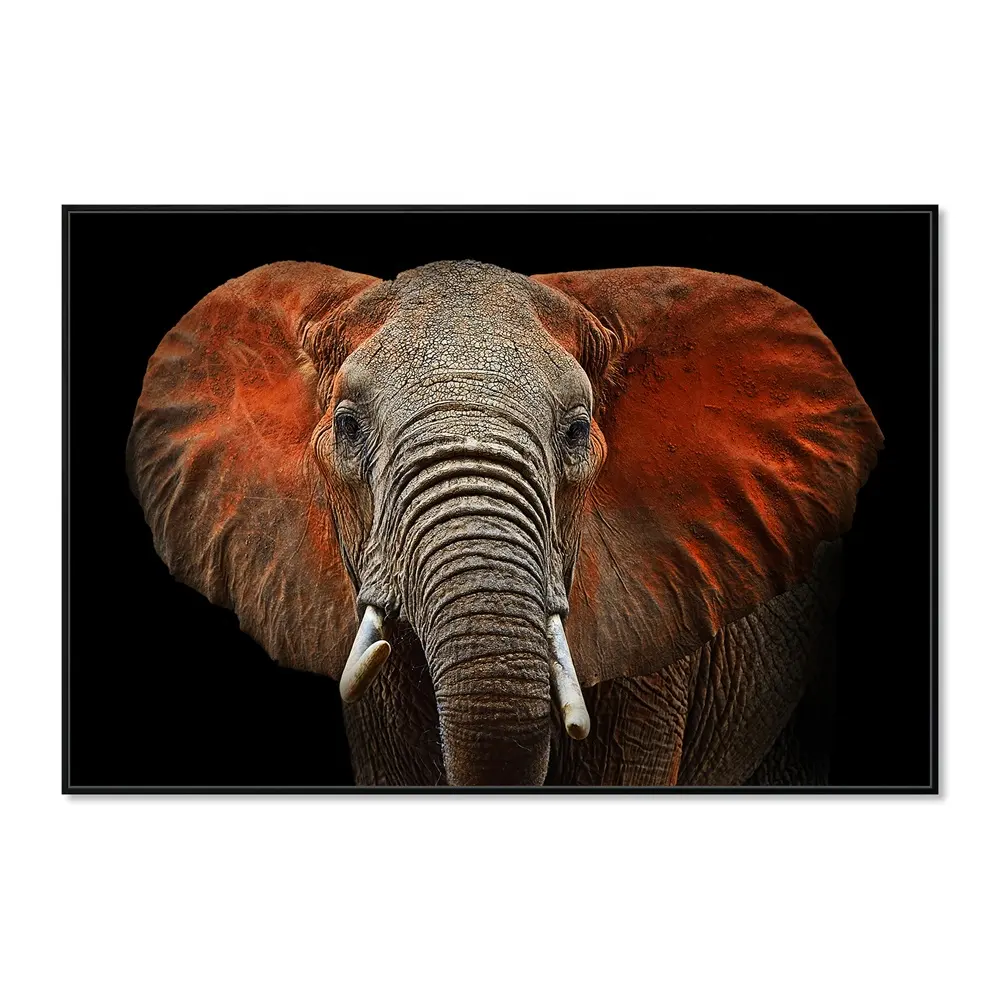 Best Price Smooth Animal Canvas Framed Prints Glass Paintings Acrylic Wall Art For Living Room