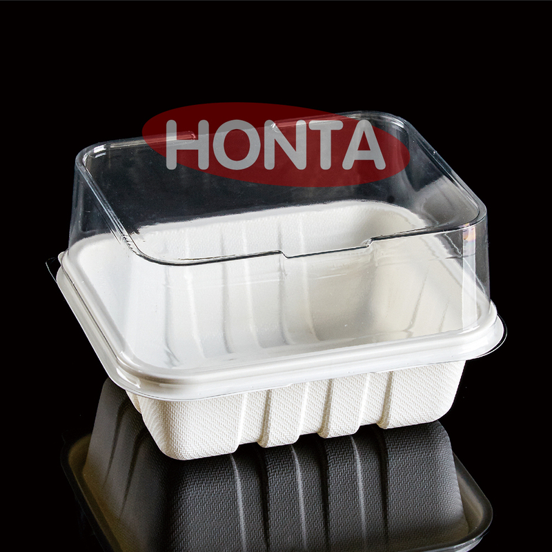 Square Recycled Plastic Dessert Box with