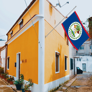 Banderines de Belize de 3x5 pies al por mayor, banderas de poliéster 100D personalizables para todas las naciones, entrega rápida de un proveedor fiable - Product Image 5