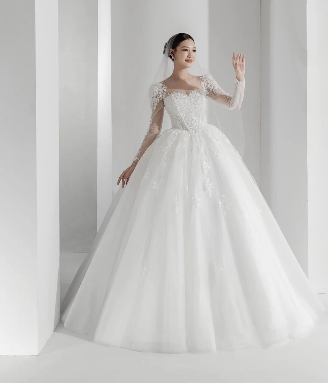 lace applique ball gown with sleeves