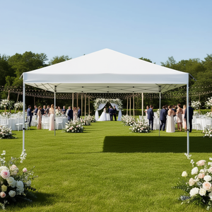 Carpa para Fiestas y Bodas D0100HA76Y7 de 10x20 Pies con 6 Paredes Laterales de Aleación de Aluminio y Bolsa de Transporte - Product Image 2
