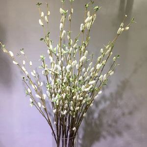 Ostern Silber Weiden frucht Simulations pflanze Silber Weiden zweige Muschi Weide Blumen arrangement Zubehör Dekoration - Product Image 1