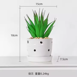 Plantes succulentes artificielles décoratives de <span class=keywords><strong>cactus</strong></span> petites plantes artificielles en pot VP-HL006 - Product Image 5
