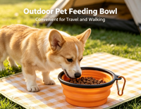 Bol pliable pour chien en TPE, écologique, moderne, portable, pour les voyages en plein air