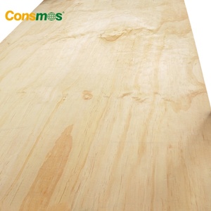 Contrachapado de Pino CDX Impermeable de Grado de Construcción de 3/4 5/8 Pulgadas a Precio Económico - Product Image 2