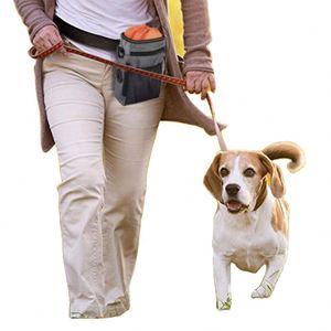 Free Sample Lightweight Fashion Waterproof Waist Pack Pet <b>Dog</b> Treat <b>Pouch</b> Bag with Drawstring Inner - Product Image 1