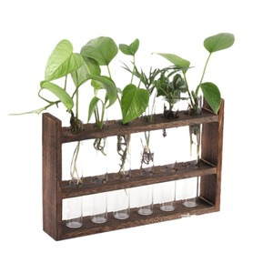 Retro Wooden Hydroponic Plant <b>Stand</b> With Glass Tubes For Pothos <b>Desktop</b> Decoration - Product Image 1
