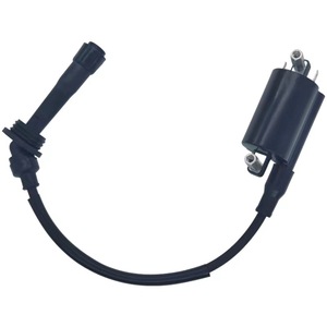 Bobine d'allumage Jilong QJ250GY2 2235 pour moto monocylindre Benelli 250, pièce de rechange - Product Image 2
