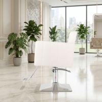 Chaise de barbier portable pour salon, prix de gros, chaise de barbier