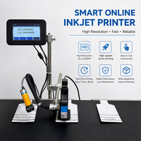 Impresora de Inyección de Tinta TIJ Automática en Línea Willita WLD-Z100 de 600 DPI |   Máquina de Codificación de Fecha, Lote y Código QR con Bomba y Engranaje de 12.7mm