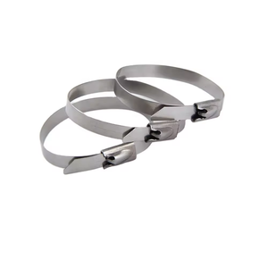 100 adet SS304 4.6*200mm top kilit çevre dostu paslanmaz çelik kablo bağı 200mm uzunluk 4.8mm genişlik kendinden kilitleme Zip kravat - Product Image 5