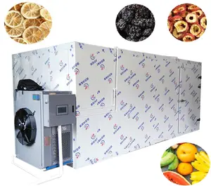 Automatic food dehydrator banana chips mango vegetable dryer fruit drying machine