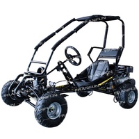 Kart à essence 420CC 15HP monoplace pour location en sites touristiques, type buggy tout-terrain avec cage de sécurité et arrêt d'urgence