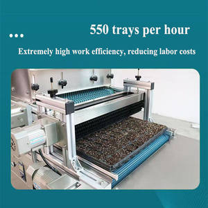 Sembradora Automática de Bandejas de Semillero para Hortalizas y Frutas, Máquina Sembradora de Bandejas para el Inseminación de Semillas en Semilleros - Product Image 4