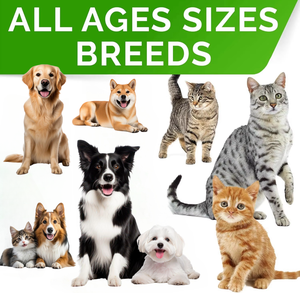 Supplément de soins de santé pour animaux de compagnie OEM/ODM pour application de santé de la peau et du pelage de chiens emballé dans des bouteilles - Product Image 4