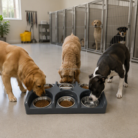 Distributeur automatique de nourriture pour chien en acier inoxydable et plastique, 6 compartiments, bols amovibles, facile à nettoyer, pour l'entretien professionnel des animaux de compagnie