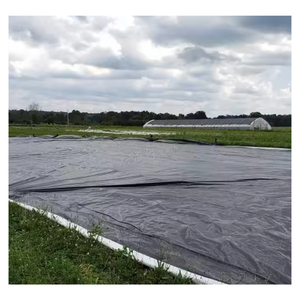 <span class=keywords><strong>Film</strong></span> plastique PE personnalisé en gros, feuille de polyéthylène transparente - Product Image 4